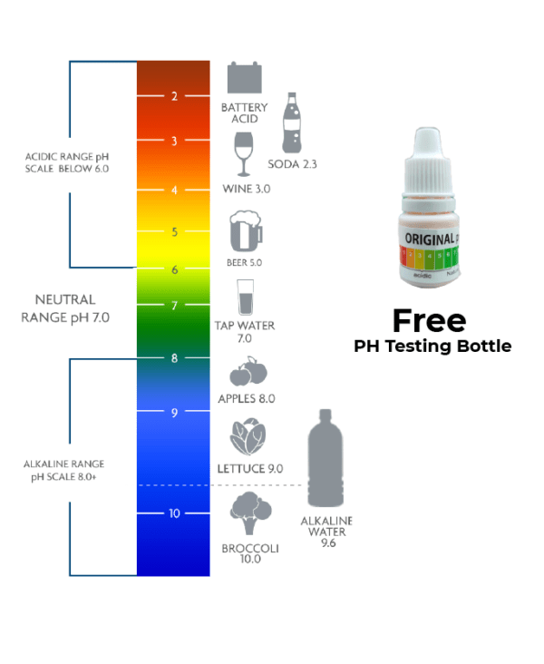 PH testing bottle-Free